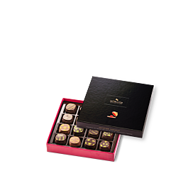 Coffret Initiation 16 ganaches noirs et lait